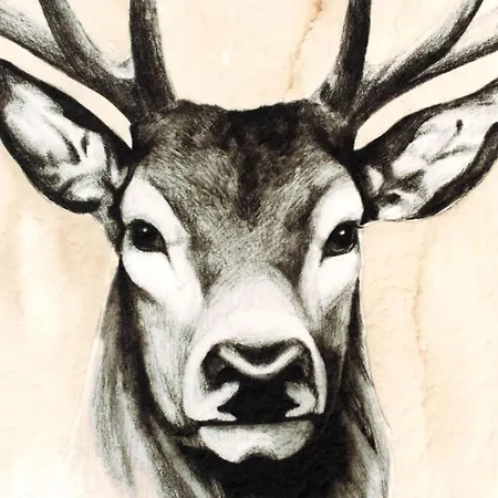 Italianway - Morcelli 4 Appartamento